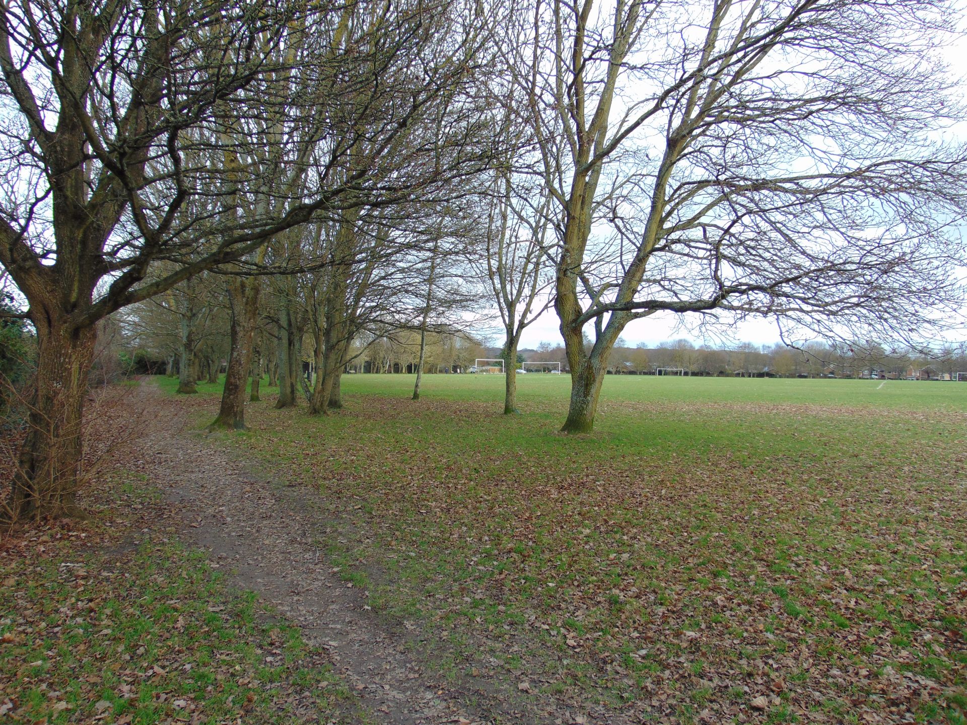 Tree's lining the edge of a green park with a mud pathway